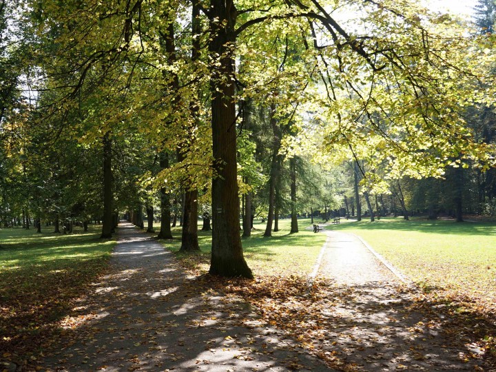 Kúpeľný Park and Swan Lake